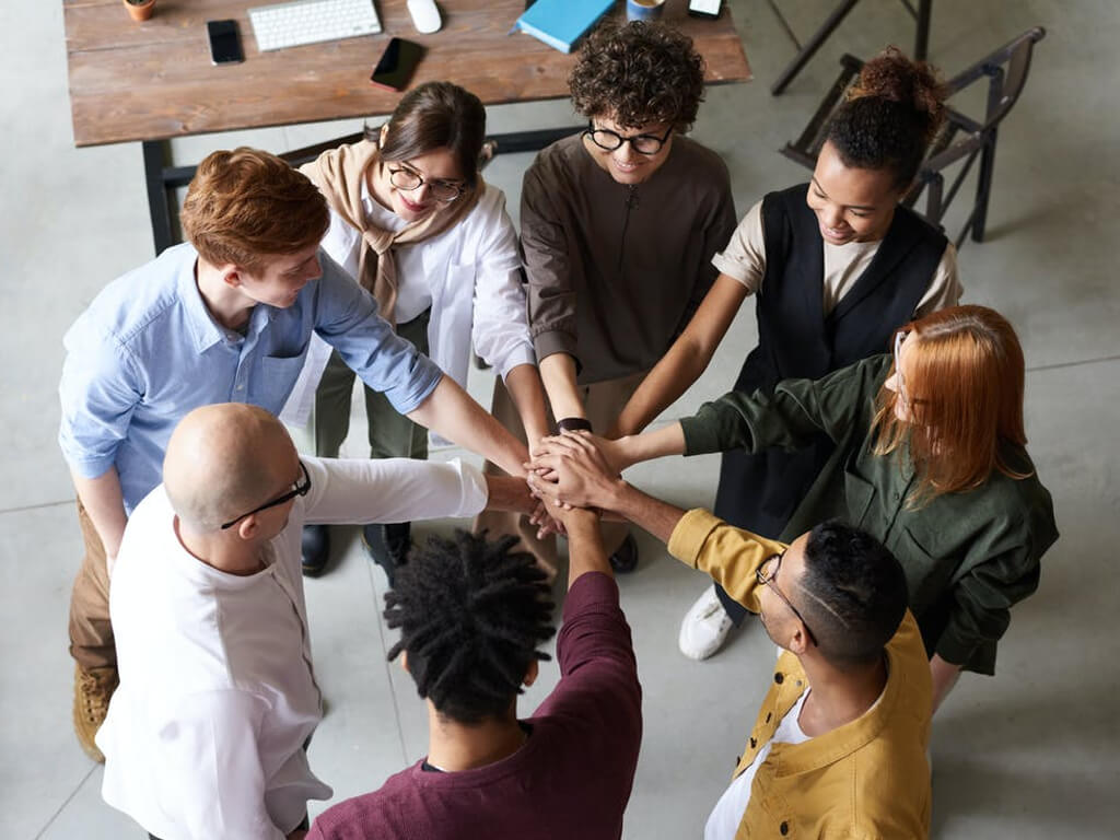 Plastic Grinder Machine Video